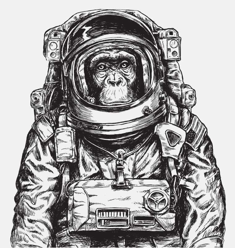 Monkey in spacesuit